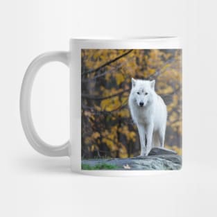 Arctic Wolf - Parc Omega, Quebec Mug